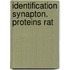 Identification synapton. proteins rat