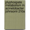 Plyphospate metabolism in Acinetobacter johnsonii 210A by C.F.C. Bonting