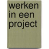 Werken in een project door J. Steen