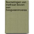 Fluxmetingen van methaan boven een hoogveenmoeras