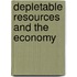 Depletable resources and the economy