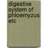 Digestive system of phloemyzus etc