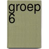 groep 6 door C. Beks