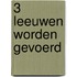 3 Leeuwen worden gevoerd