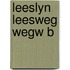 Leeslyn leesweg wegw b