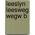 Leeslyn leesweg wegw b