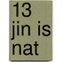 13 Jin is nat