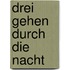 Drei gehen durch die nacht