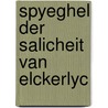 Spyeghel der salicheit van elckerlyc door Onbekend