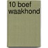 10 Boef waakhond