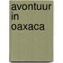 Avontuur in oaxaca
