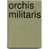 Orchis militaris