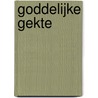 Goddelijke gekte door H.R. Vlek