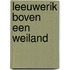 Leeuwerik boven een weiland
