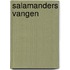 Salamanders vangen