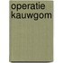 Operatie kauwgom