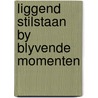 Liggend stilstaan by blyvende momenten by Vianen