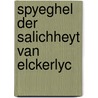 Spyeghel der salichheyt van elckerlyc door Onbekend