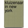 Kluizenaar in new york by Herwig Arts