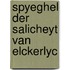 Spyeghel der salicheyt van elckerlyc