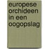 Europese orchideen in een oogopslag