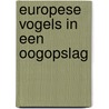 Europese vogels in een oogopslag door Mornie