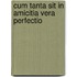 Cum tanta sit in amicitia vera perfectio