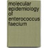 Molecular epidemiology of Enterococcus faecium