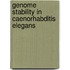 Genome stability in Caenorhabditis elegans