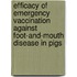 Efficacy of emergency vaccination against foot-and-mouth disease in pigs