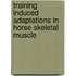 Training induced adaptations in horse skeletal muscle
