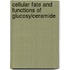 Cellular fate and functions of glucosylceramide