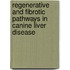 Regenerative and Fibrotic Pathways in Canine Liver Disease