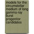 Models for the Circumstellar Medium of long Gamma-Ray Burst Progenitor Candidates