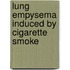 Lung empysema induced by cigarette smoke