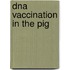 DNA vaccination in the pig