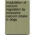 Modulation of calcium regulation by excessive calcium intake in dogs