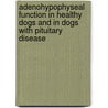 Adenohypophyseal function in healthy dogs and in dogs with pituitary disease door H.S. Kooistra