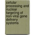 Cellular processing and nuclear targeting of non-viral gene delivery systems