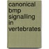 Canonical BMP signalling in vertebrates