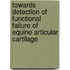 Towards detection of functional failure of equine articular cartilage