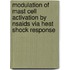 Modulation of mast cell activation by NSAIDs via heat shock response