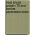 Heat shock protein 70 and bovine paratuberculosis