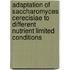 Adaptation of Saccharomyces cerecisiae to different nutrient limited conditions