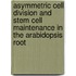 Asymmetric cell division and stem cell maintenance in the Arabidopsis root