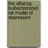 The olfactoy bulbectomized rat model of depression