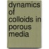 Dynamics of colloids in porous media