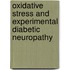 Oxidative stress and experimental diabetic neuropathy