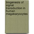 Biogenesis of signal transduction in human megakaryocytes