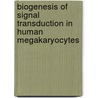 Biogenesis of signal transduction in human megakaryocytes door H. van der Vuurst